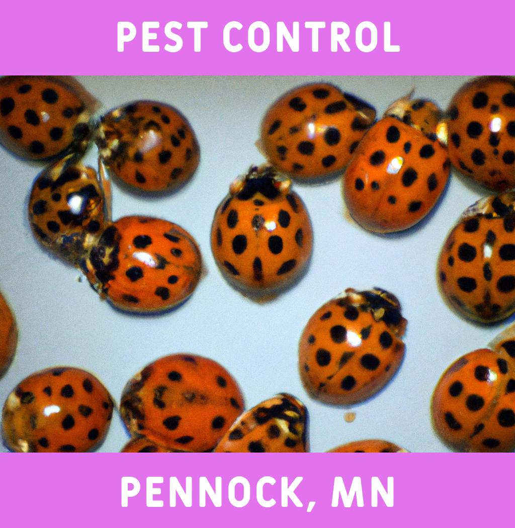 pest control in Pennock Minnesota