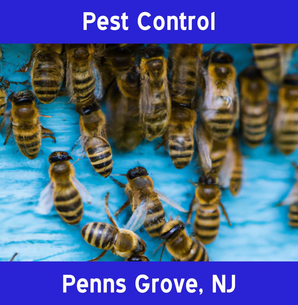 pest control in Penns Grove New Jersey