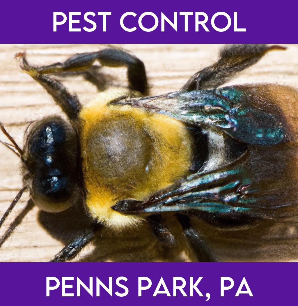 pest control in Penns Park Pennsylvania