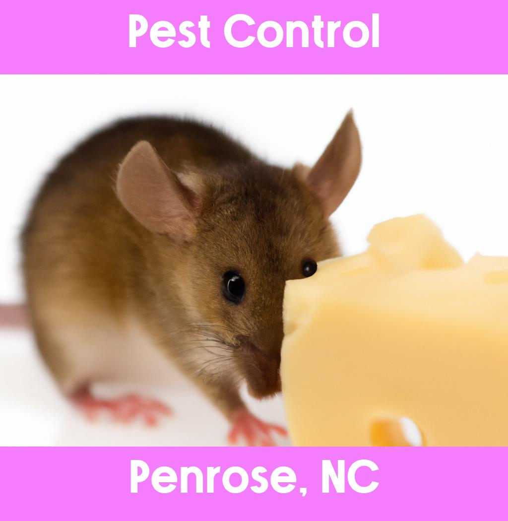 pest control in Penrose North Carolina