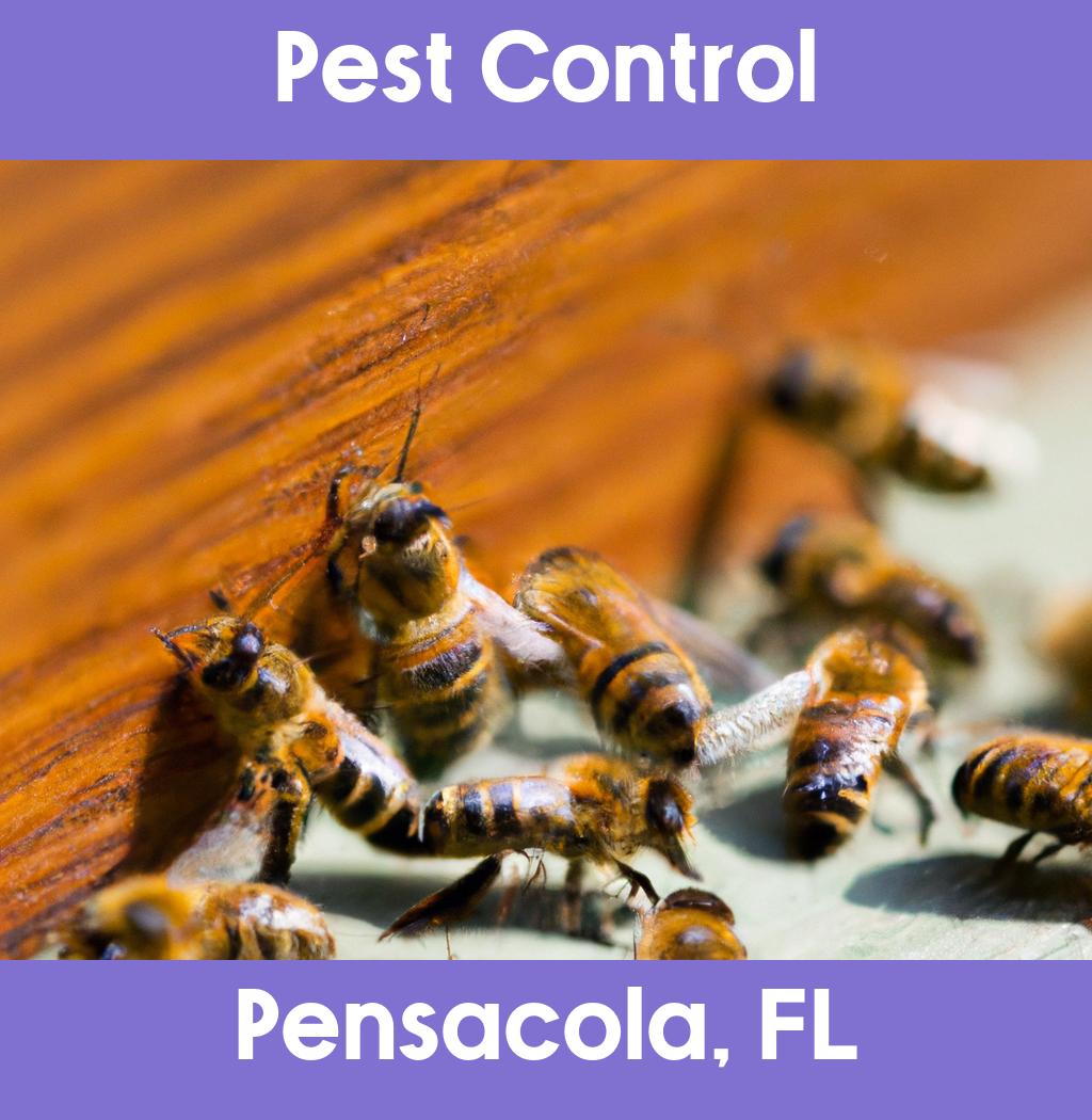 pest control in Pensacola Florida