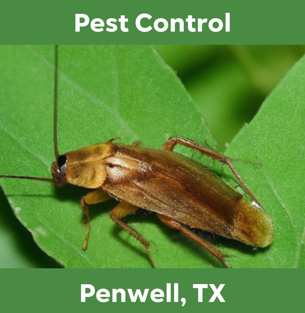 pest control in Penwell Texas