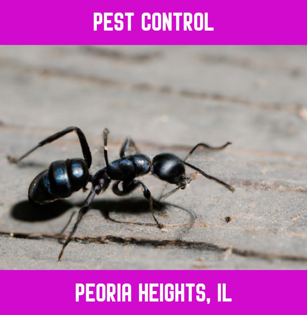 pest control in Peoria Heights Illinois