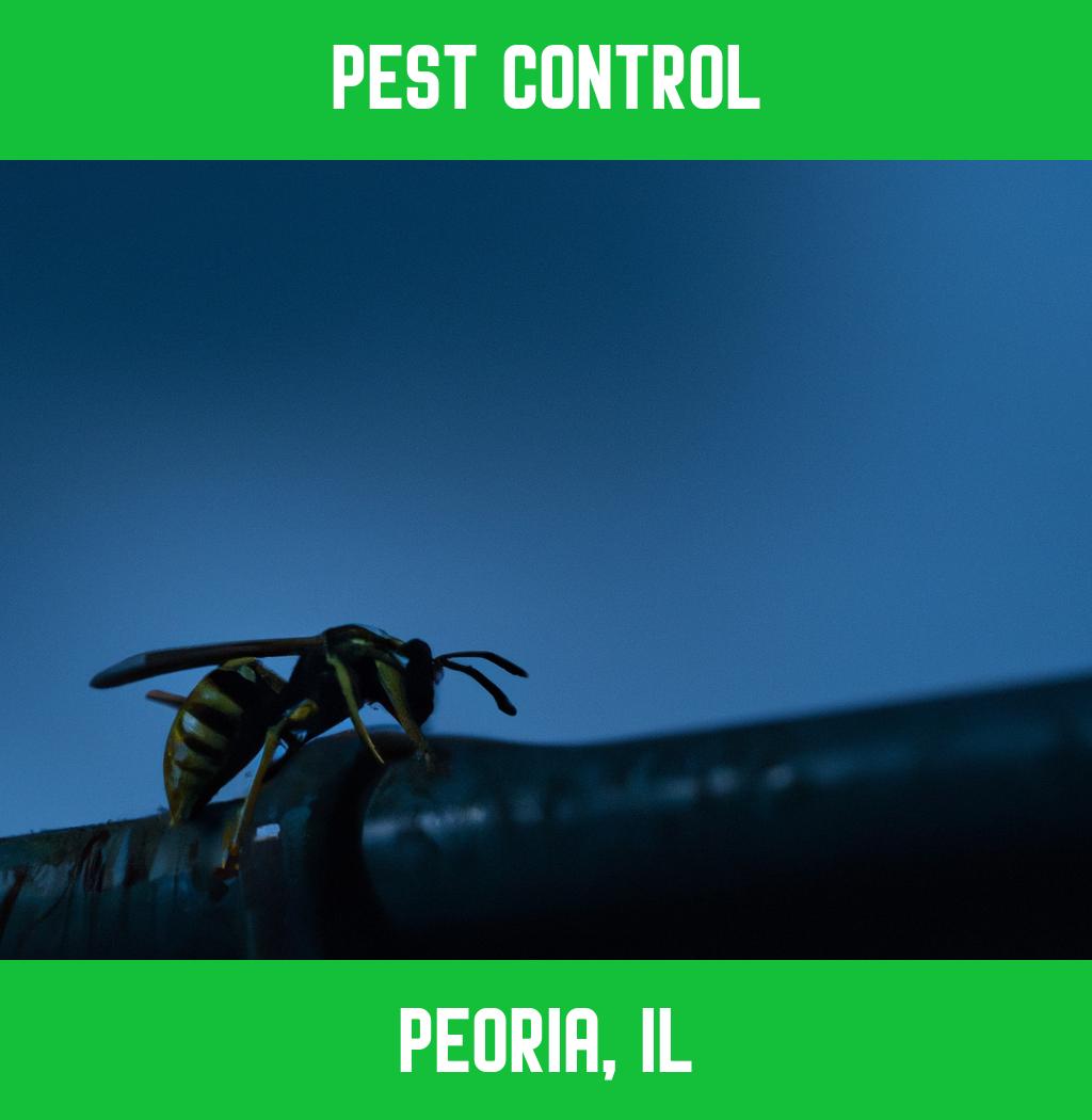 pest control in Peoria Illinois