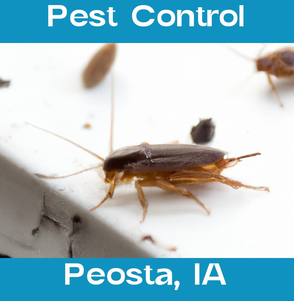 pest control in Peosta Iowa