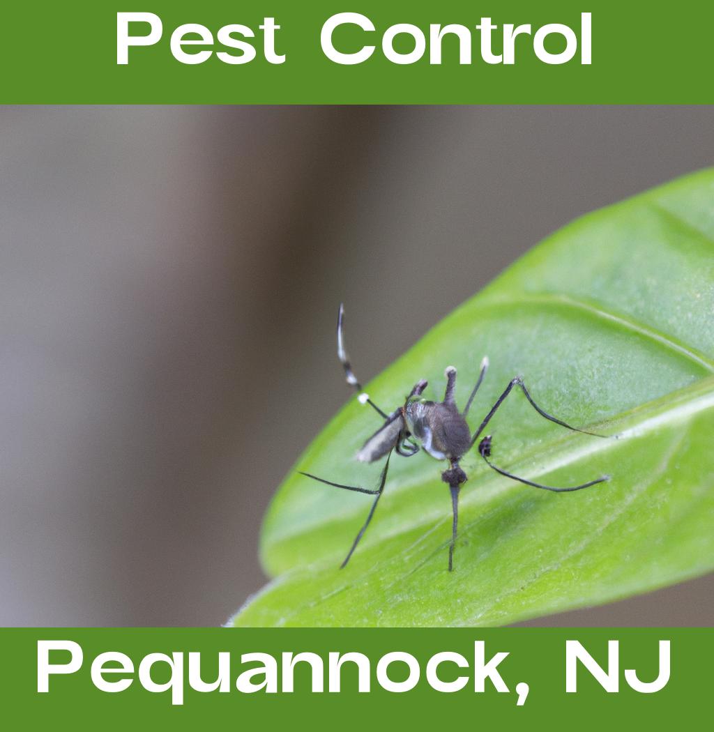 pest control in Pequannock New Jersey