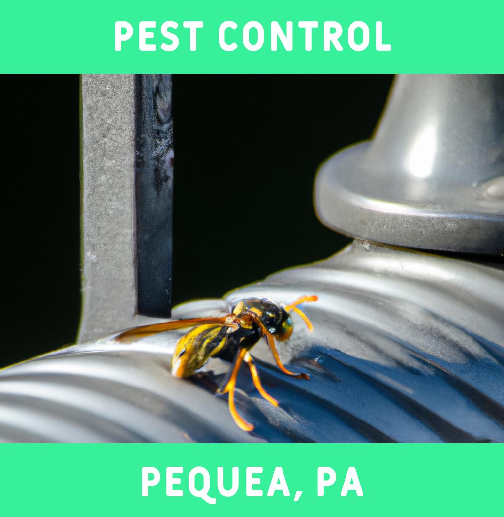 pest control in Pequea Pennsylvania