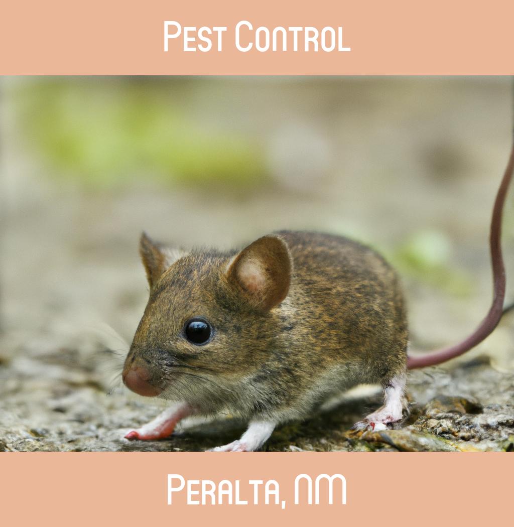 pest control in Peralta New Mexico
