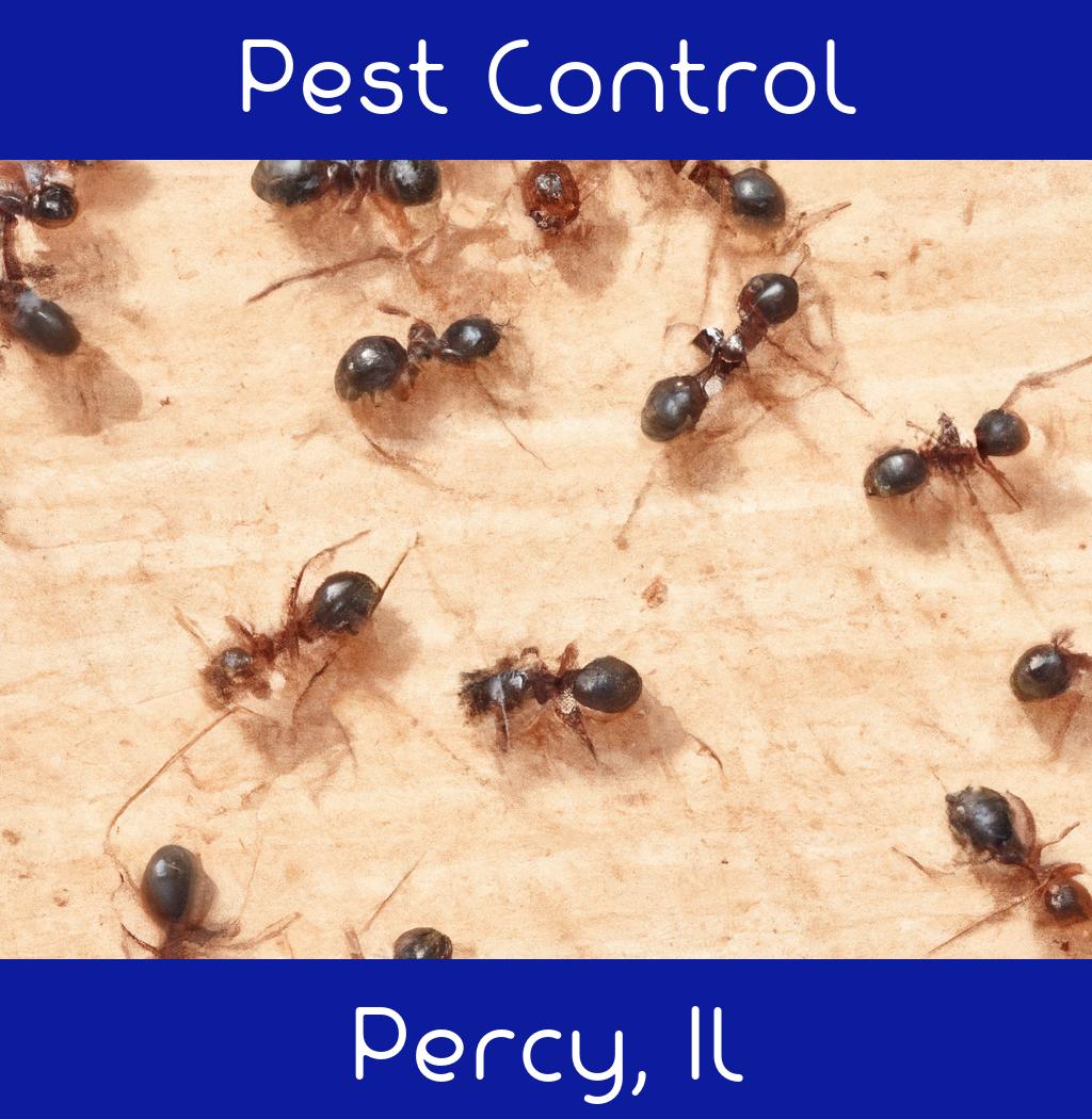 pest control in Percy Illinois
