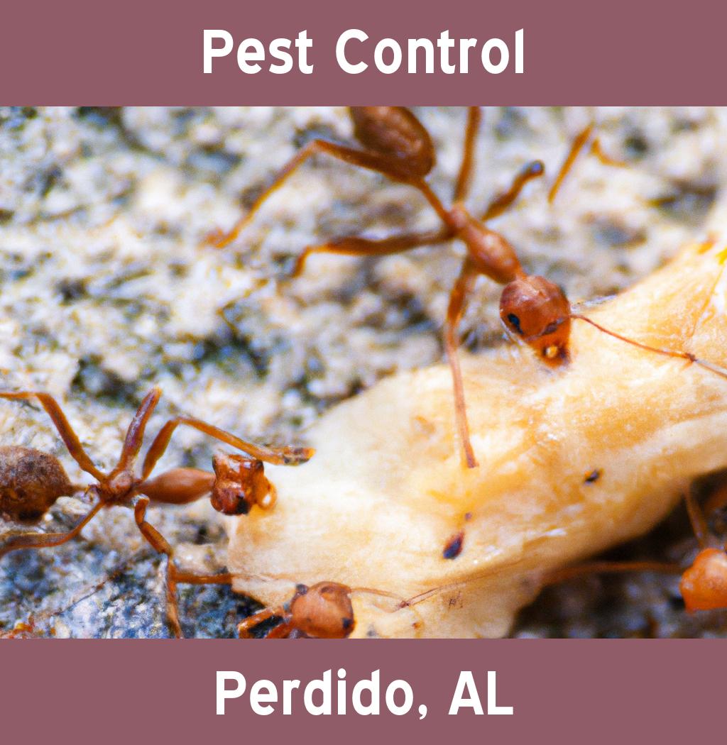 pest control in Perdido Alabama