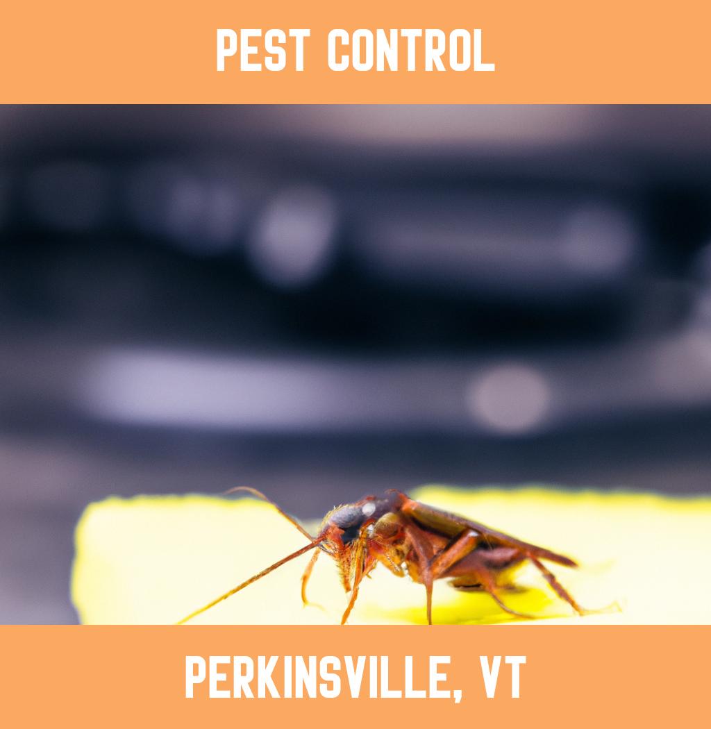 pest control in Perkinsville Vermont