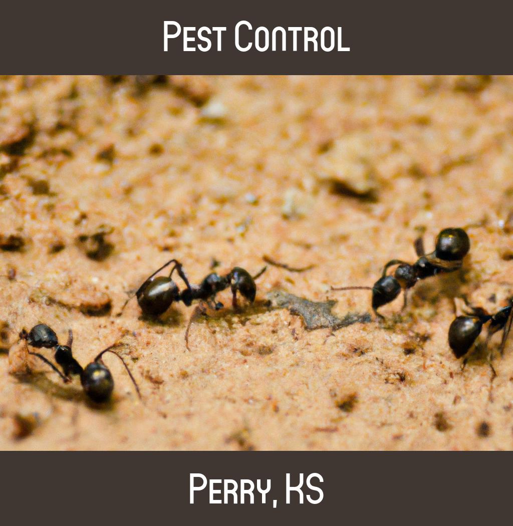 pest control in Perry Kansas