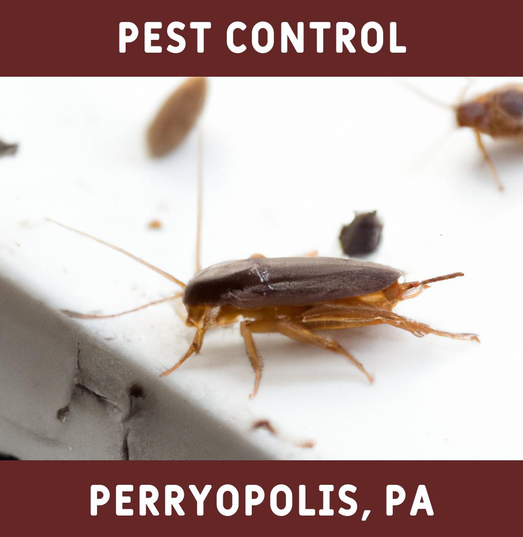 pest control in Perryopolis Pennsylvania