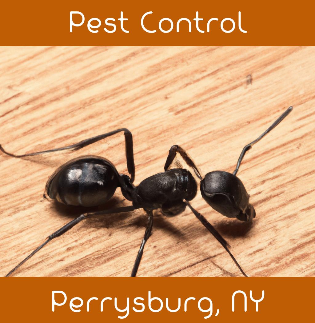 pest control in Perrysburg New York