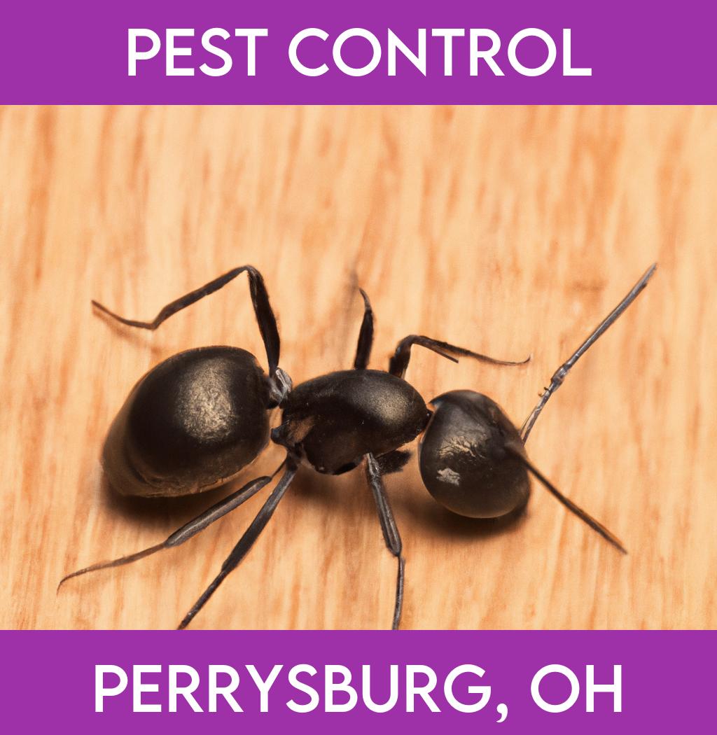 pest control in Perrysburg Ohio