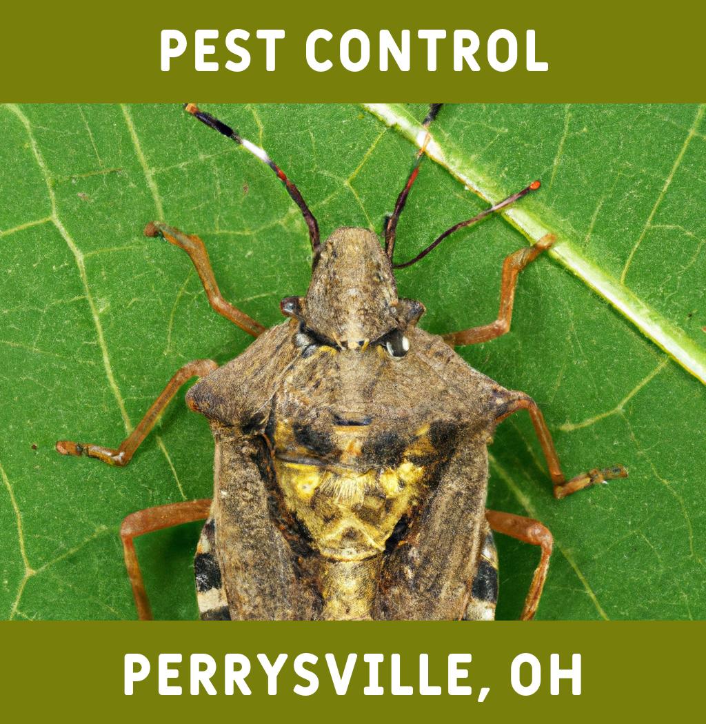 pest control in Perrysville Ohio