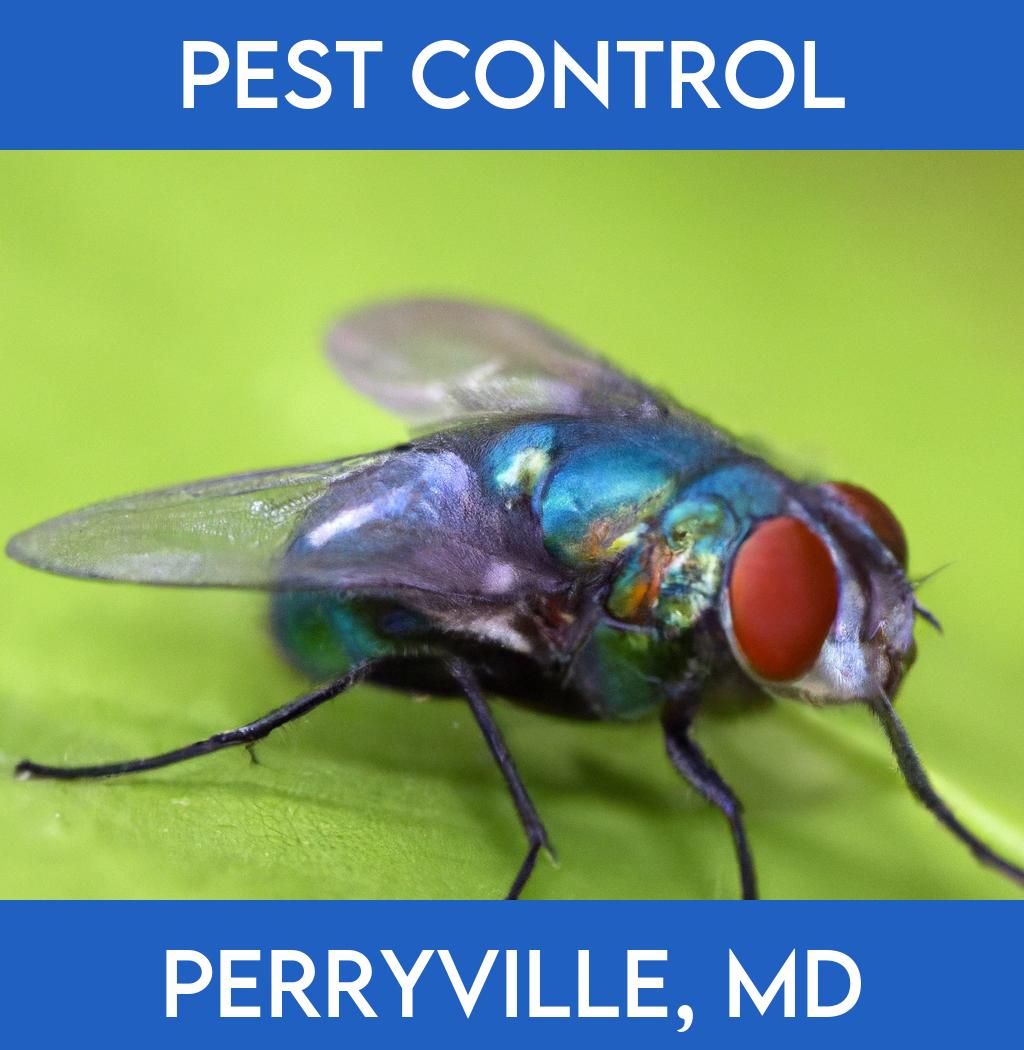 pest control in Perryville Maryland
