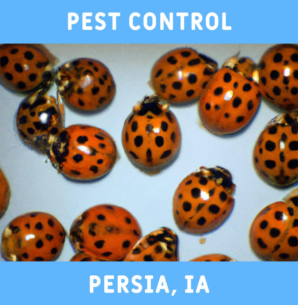 pest control in Persia Iowa