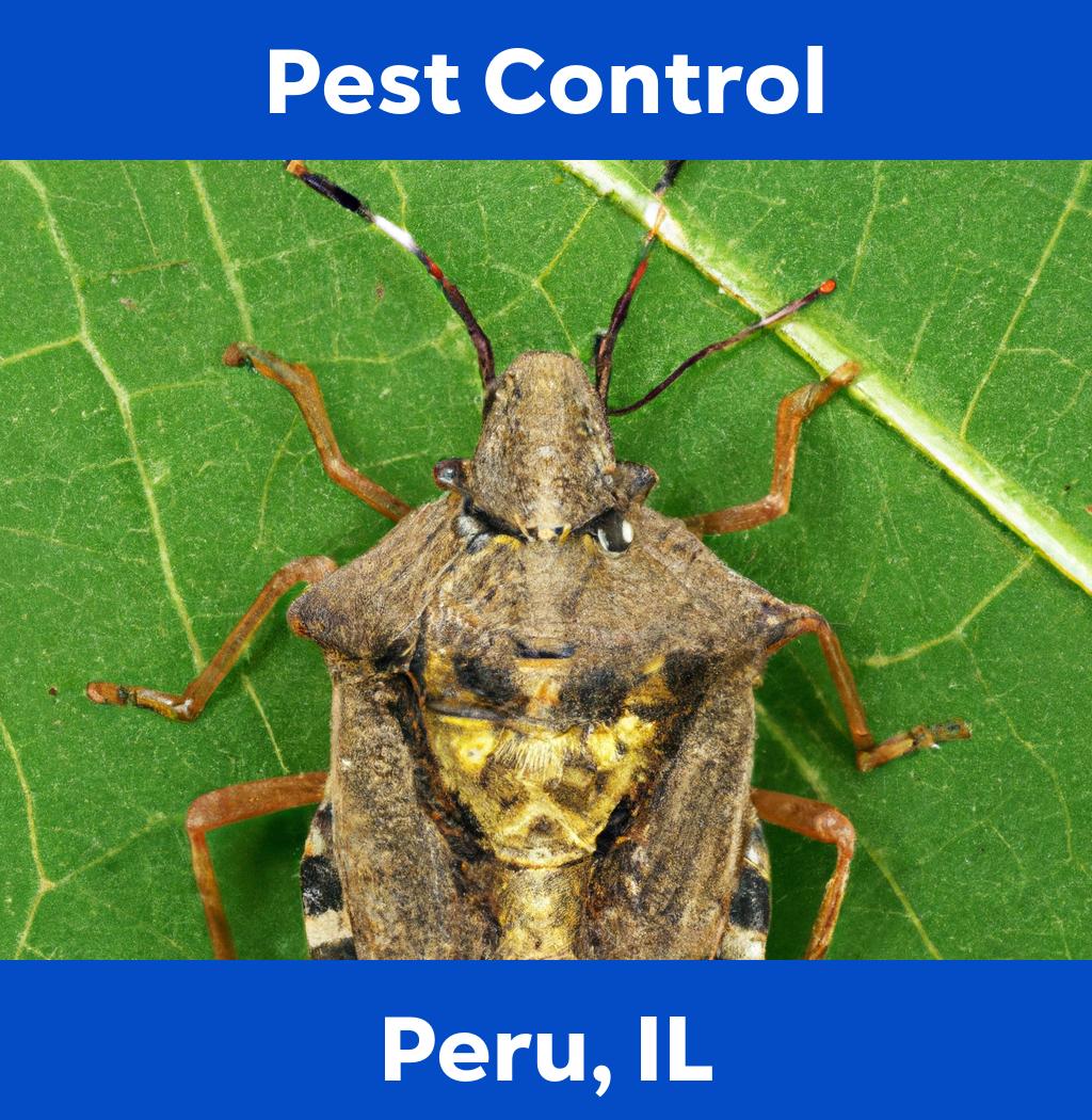 pest control in Peru Illinois