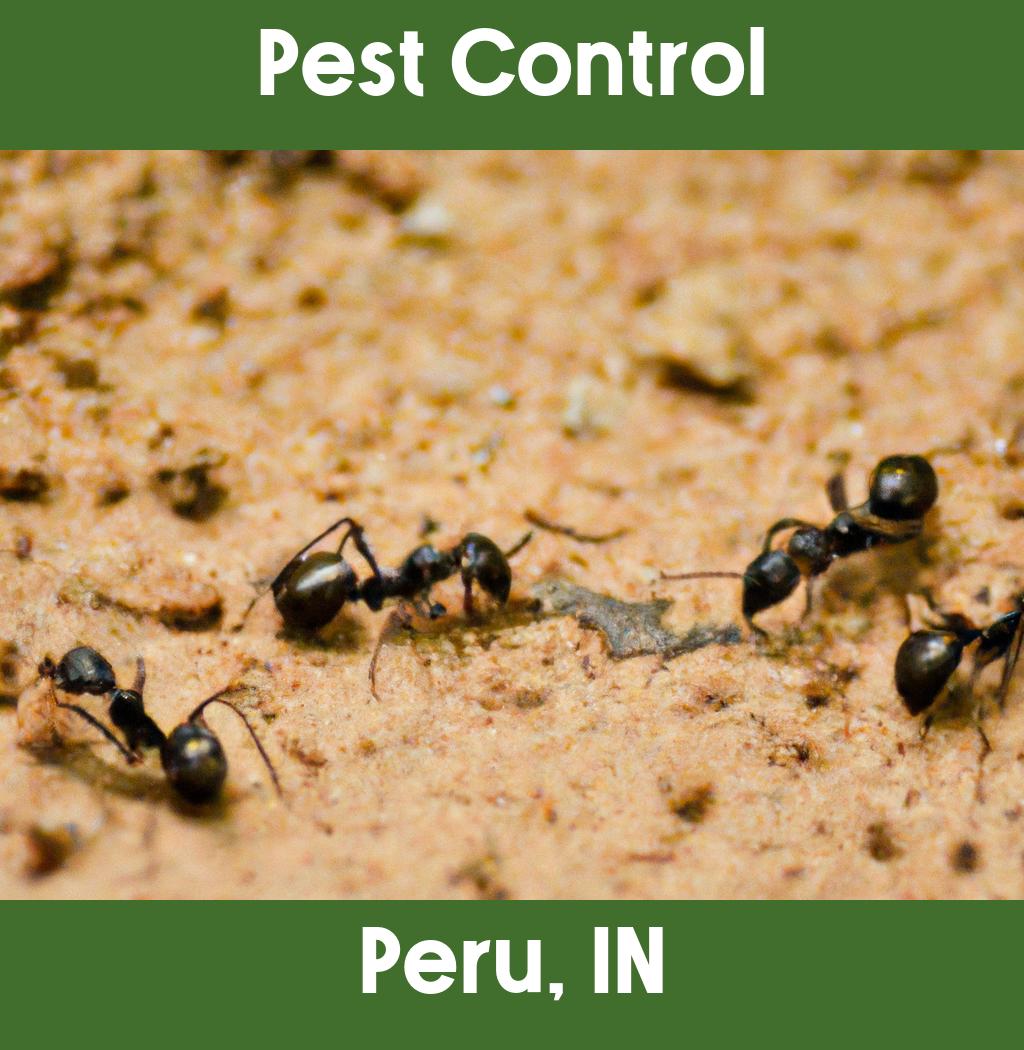 pest control in Peru Indiana