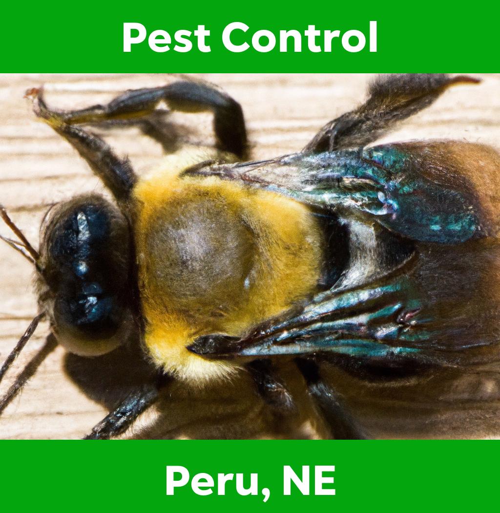 pest control in Peru Nebraska