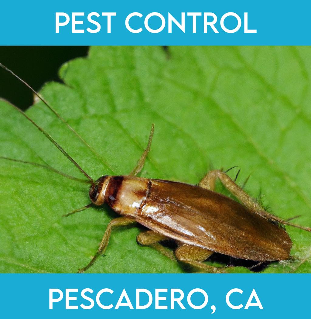 pest control in Pescadero California