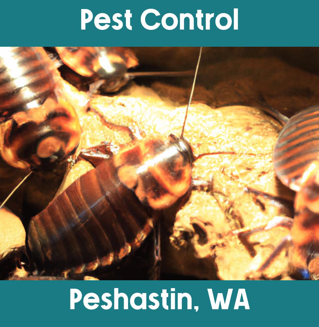 pest control in Peshastin Washington