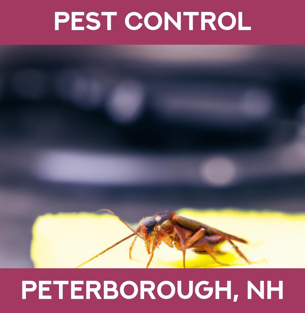 pest control in Peterborough New Hampshire