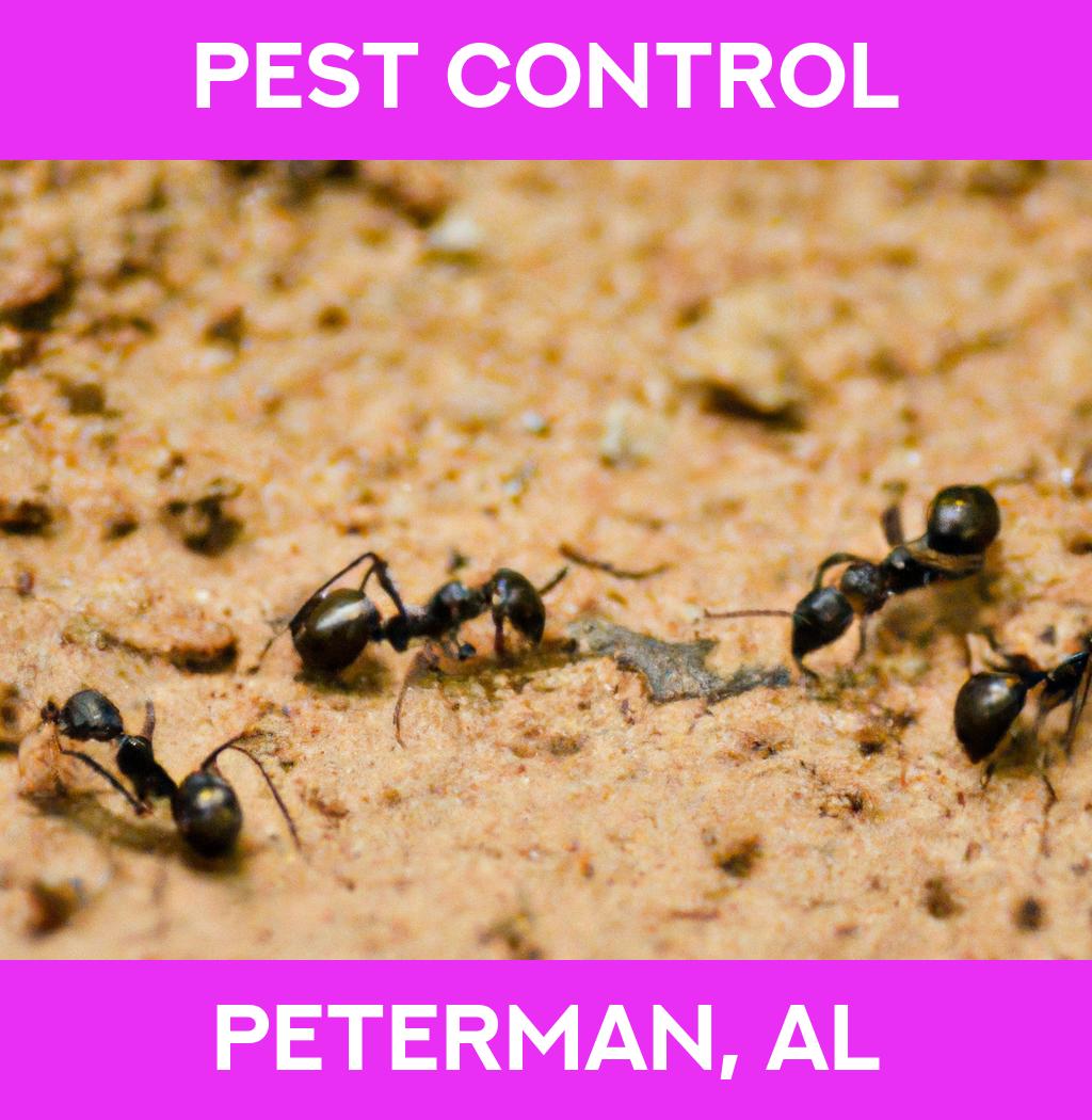 pest control in Peterman Alabama