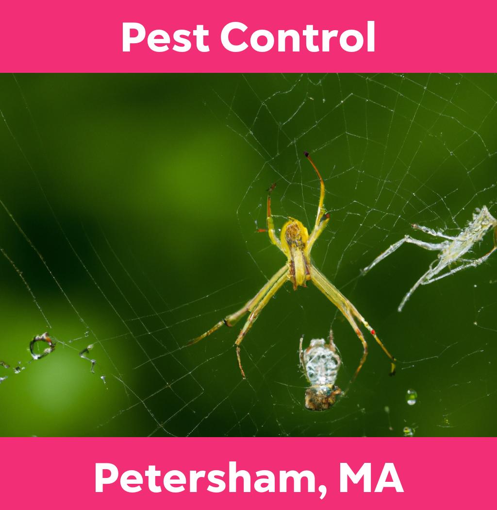 pest control in Petersham Massachusetts