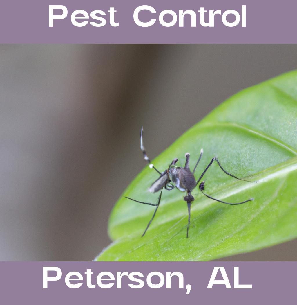 pest control in Peterson Alabama