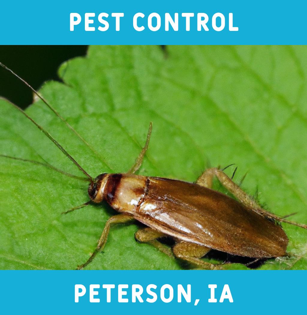 pest control in Peterson Iowa