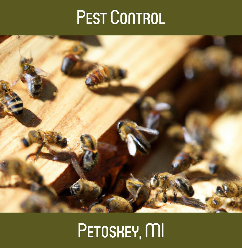 pest control in Petoskey Michigan