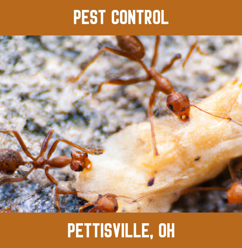 pest control in Pettisville Ohio