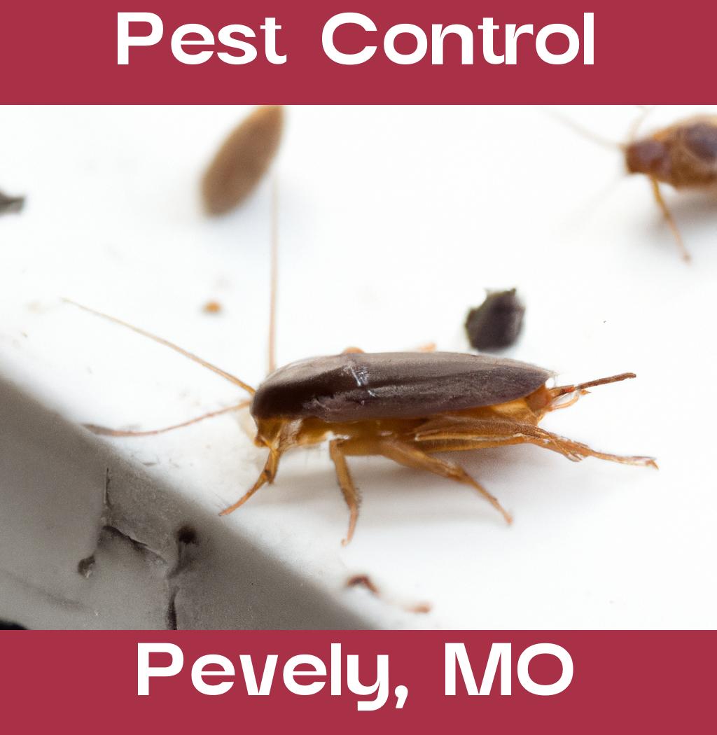 pest control in Pevely Missouri