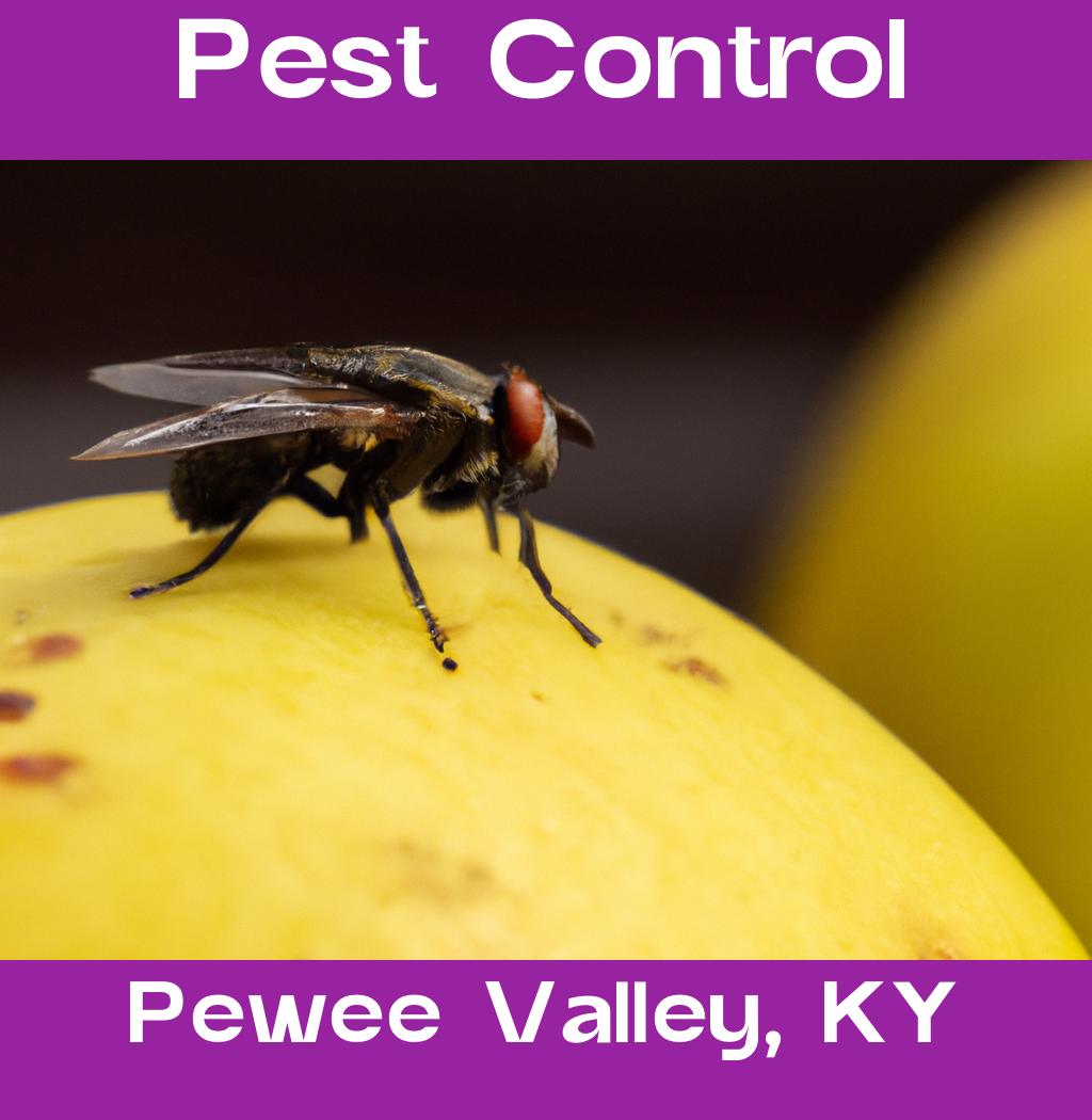 pest control in Pewee Valley Kentucky