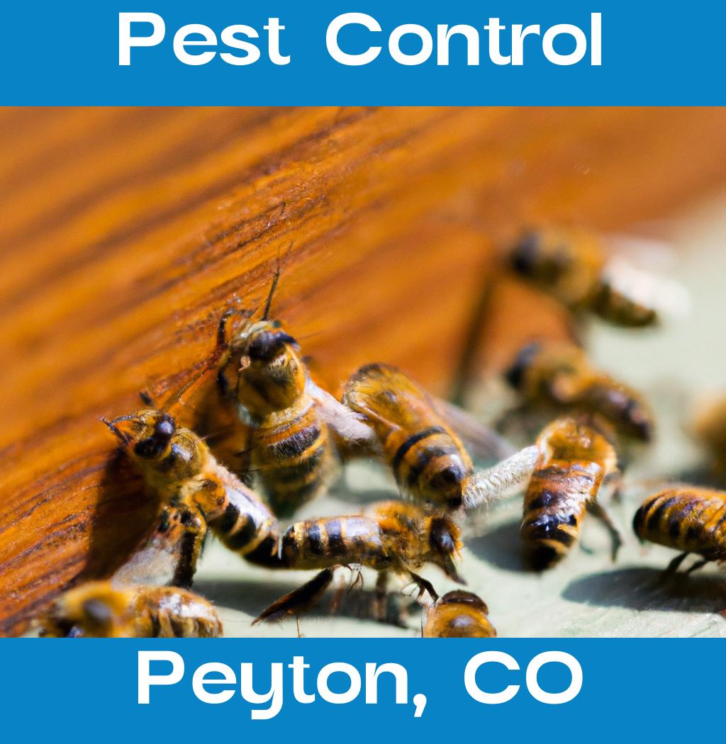 pest control in Peyton Colorado