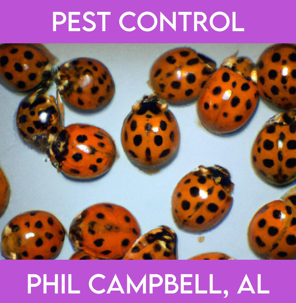 pest control in Phil Campbell Alabama