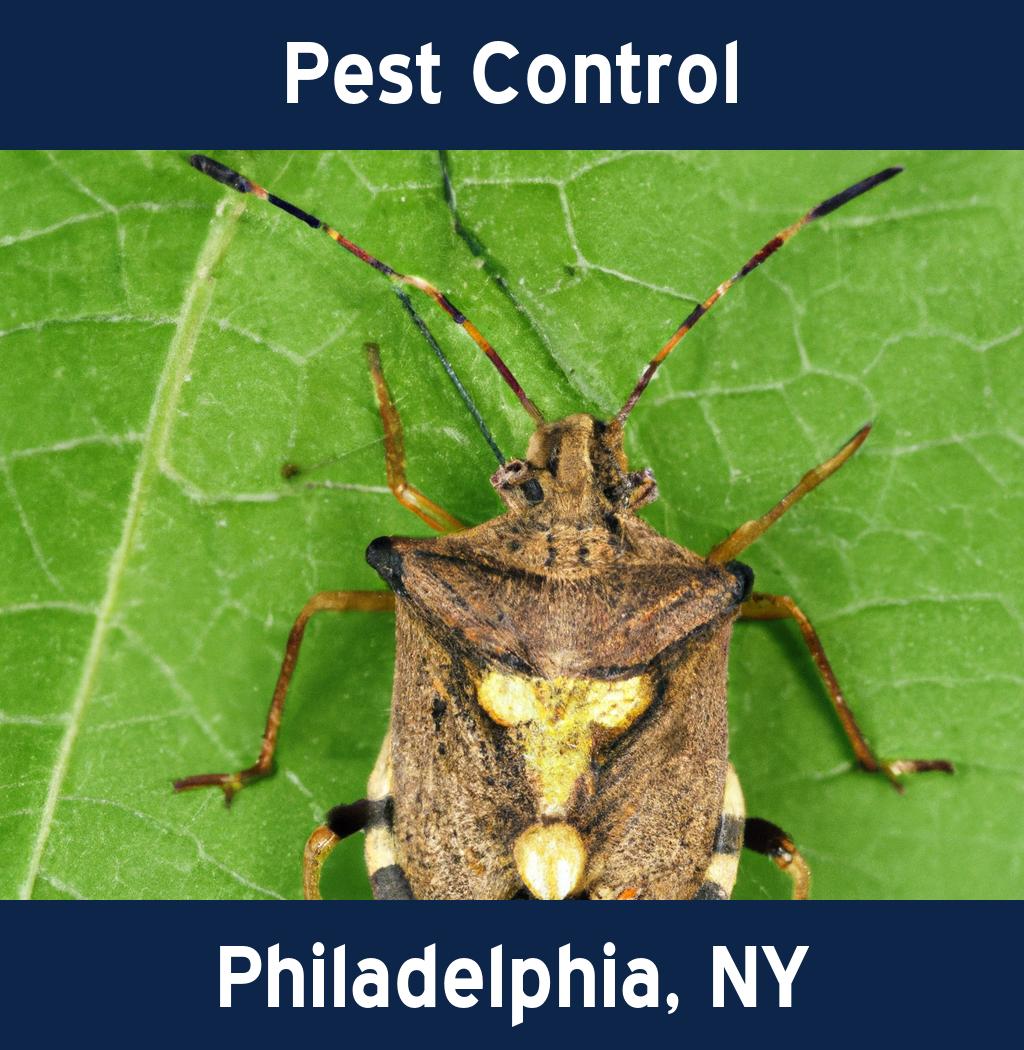 pest control in Philadelphia New York