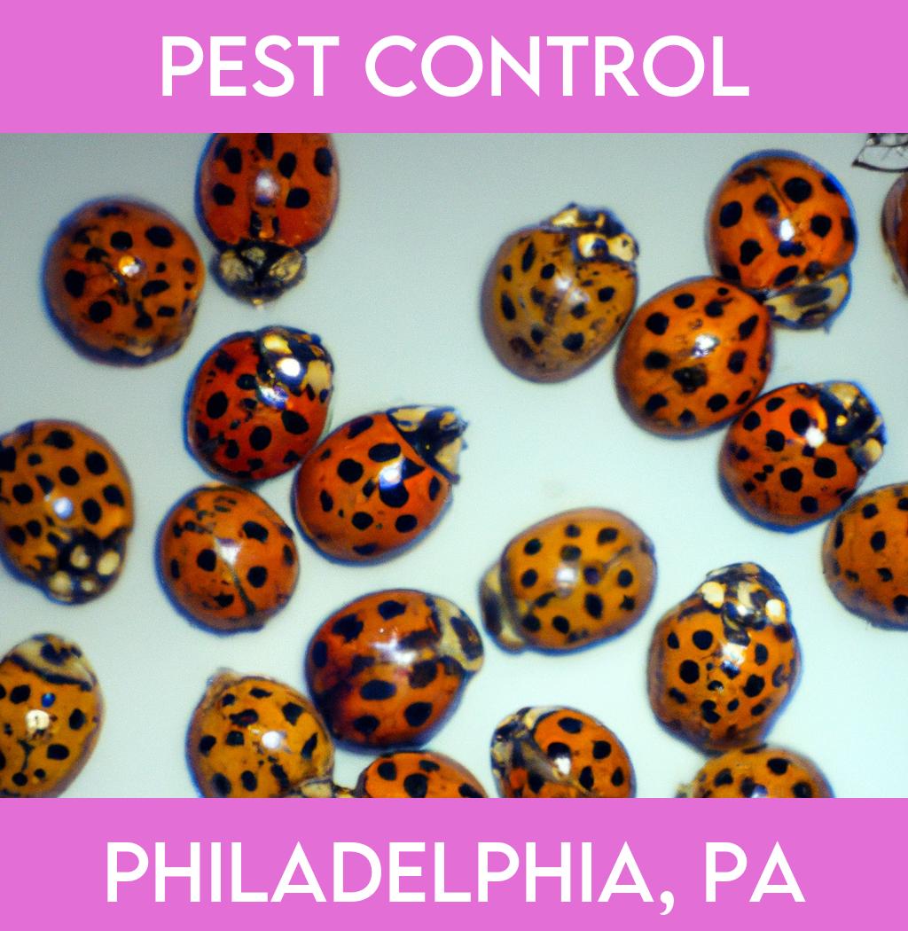 pest control in Philadelphia Pennsylvania