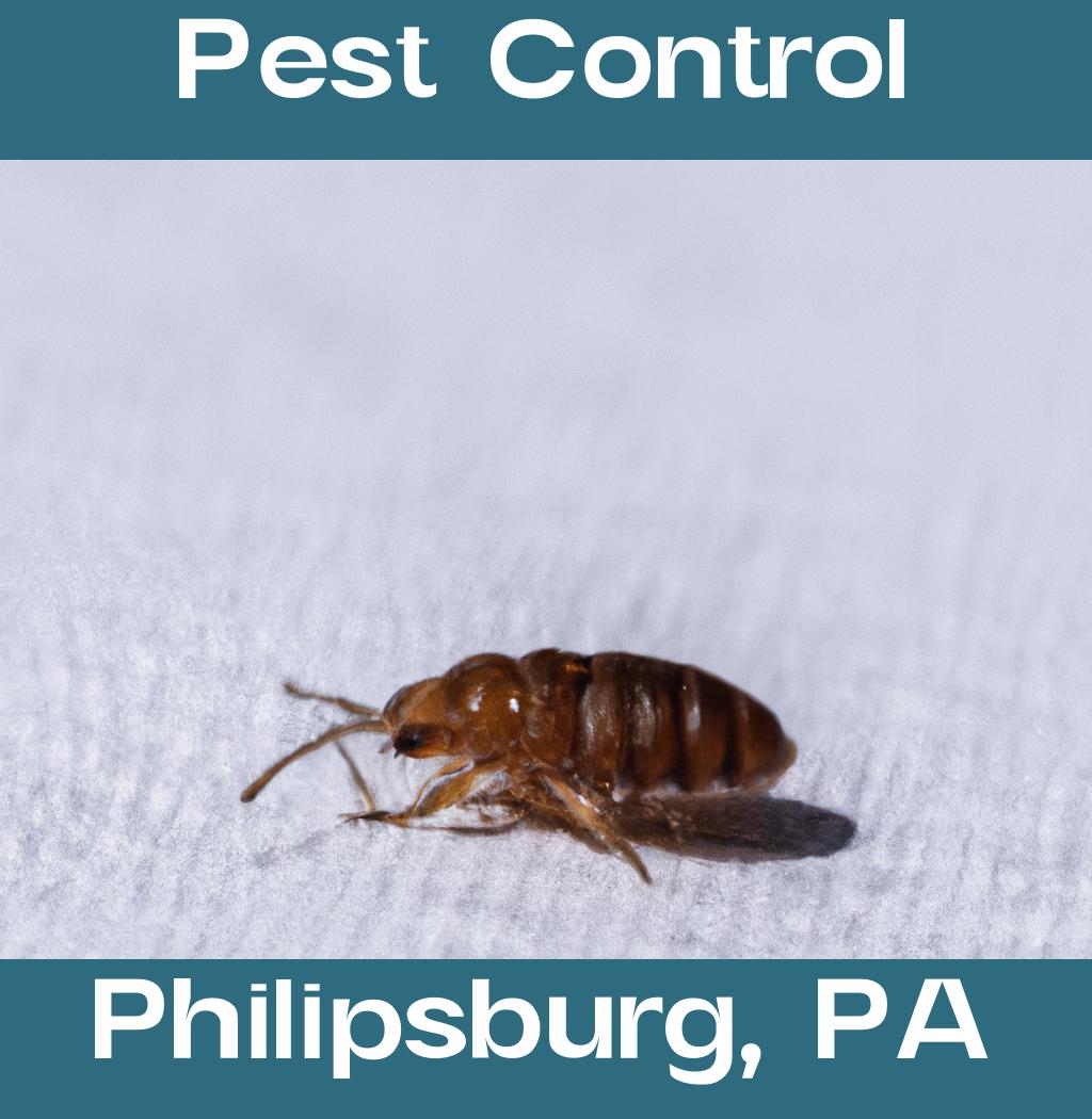 pest control in Philipsburg Pennsylvania