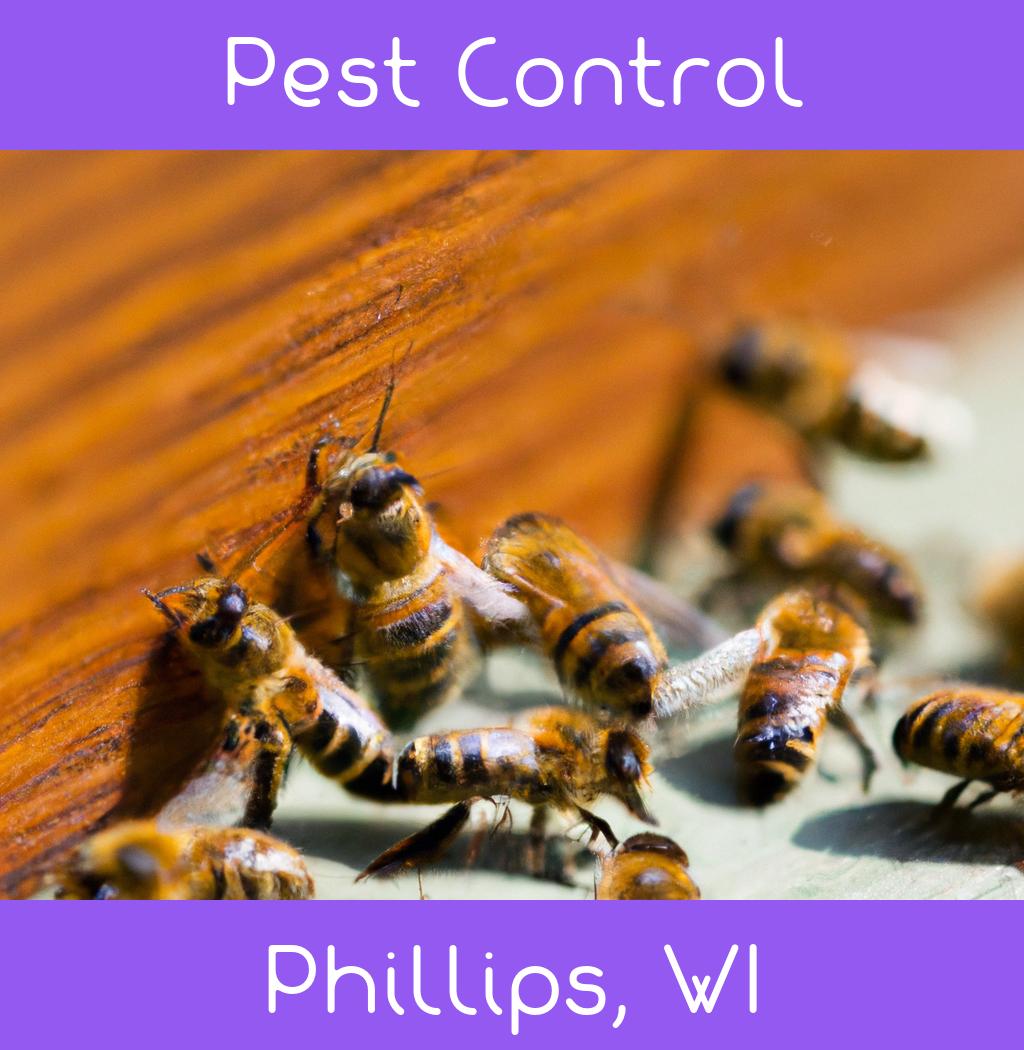 pest control in Phillips Wisconsin