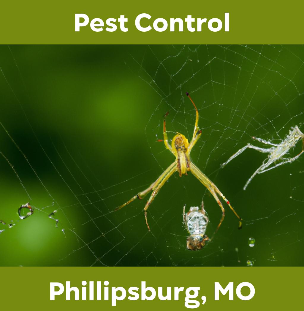 pest control in Phillipsburg Missouri