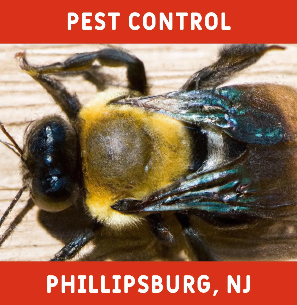 pest control in Phillipsburg New Jersey