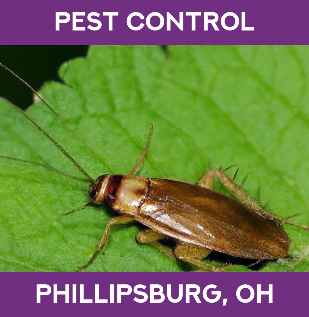pest control in Phillipsburg Ohio