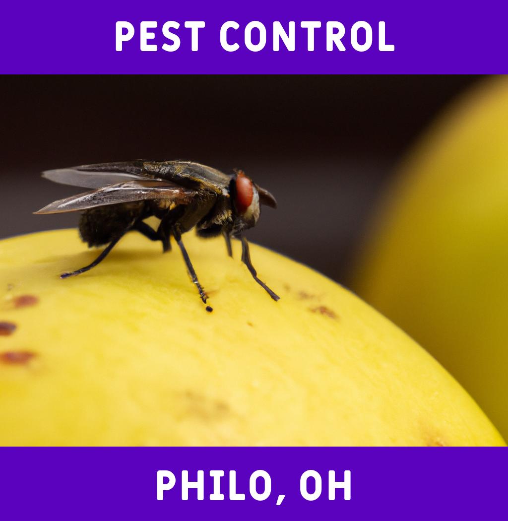 pest control in Philo Ohio