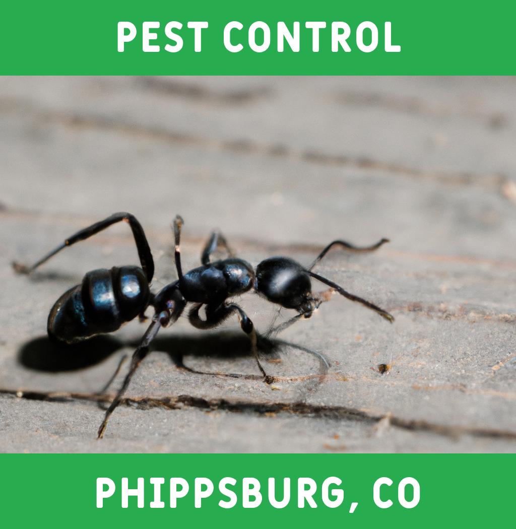 pest control in Phippsburg Colorado