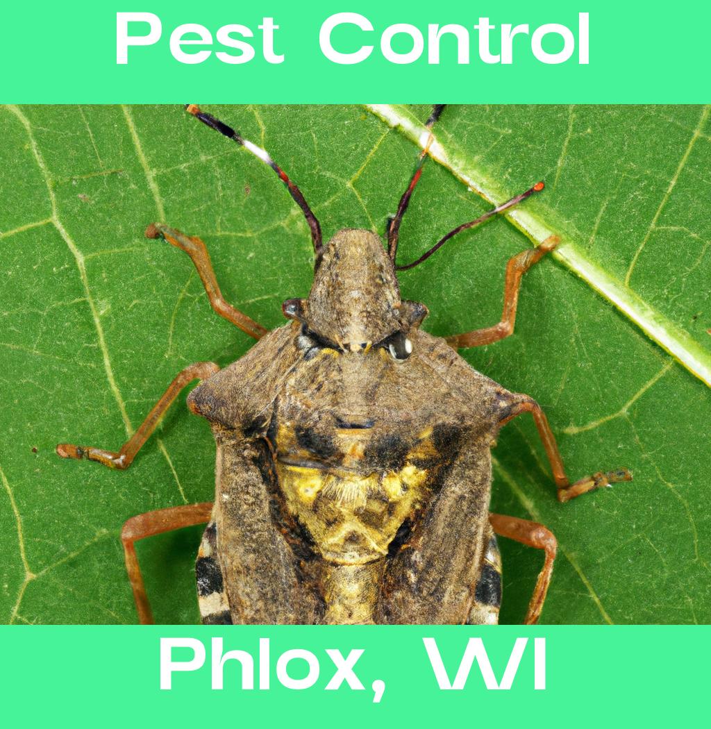 pest control in Phlox Wisconsin