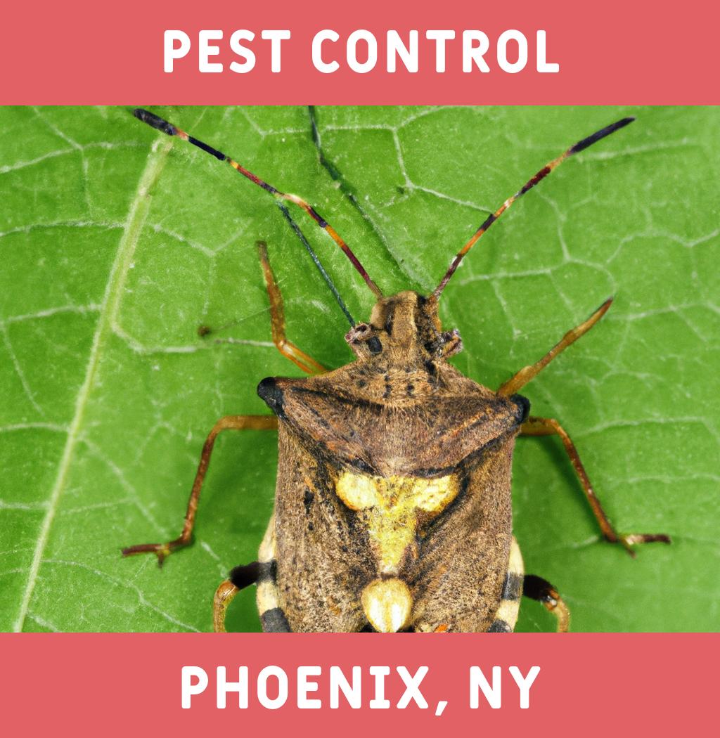 pest control in Phoenix New York