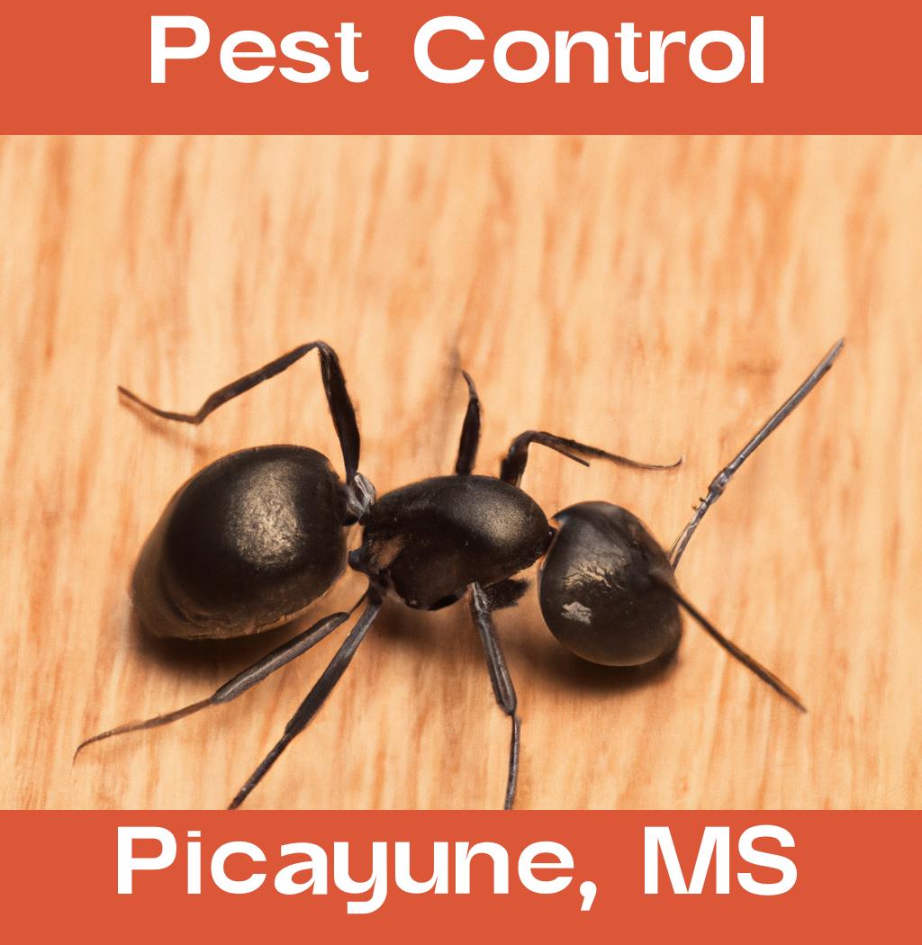 pest control in Picayune Mississippi